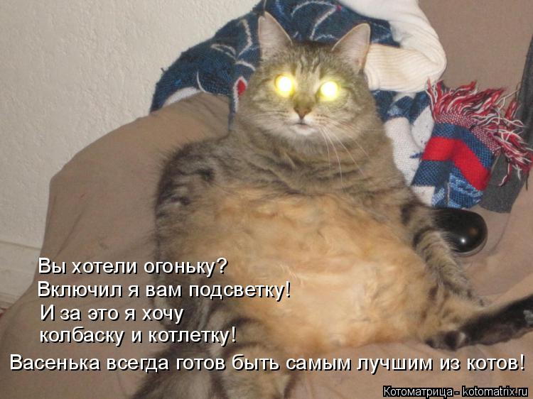 Котоматрица: И за это я хочу  колбаску и котлетку! Вы хотели огоньку? Включил я вам подсветку! Васенька всегда готов быть самым лучшим из котов!