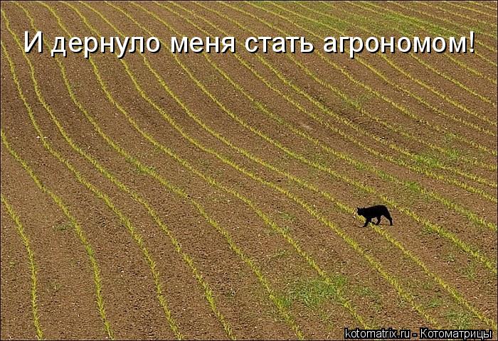 Котоматрица: И дернуло меня стать агрономом!