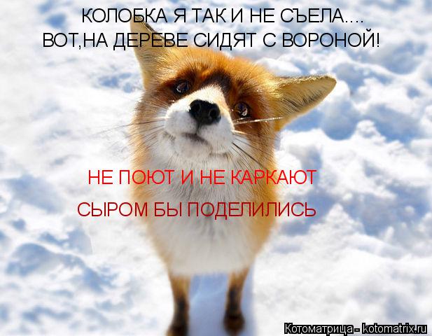 Котоматрица: КОЛОБКА Я ТАК И НЕ СЪЕЛА....  ВОТ,НА ДЕРЕВЕ СИДЯТ С ВОРОНОЙ! НЕ ПОЮТ И НЕ КАРКАЮТ СЫРОМ БЫ ПОДЕЛИЛИСЬ