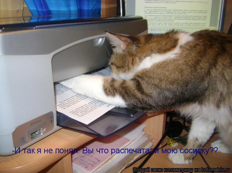 Котоматрица: -И так я не понял. Вы что распечатали мою сосиску??