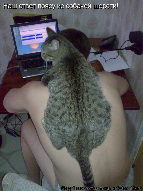 Котоматрица: Наш ответ поясу из собачей шерсти!