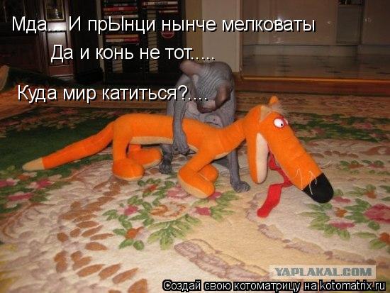 Котоматрица: Мда... И прЫнци нынче мелковаты Да и конь не тот..... Куда мир катиться?....