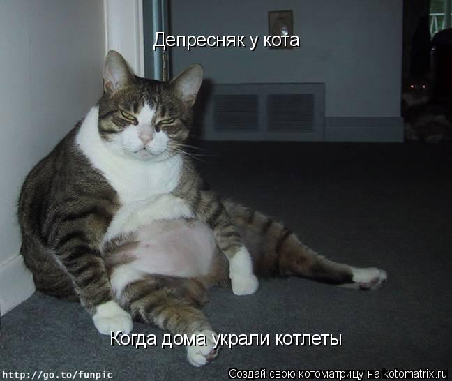Котоматрица: Депресняк у кота Когда дома украли котлеты