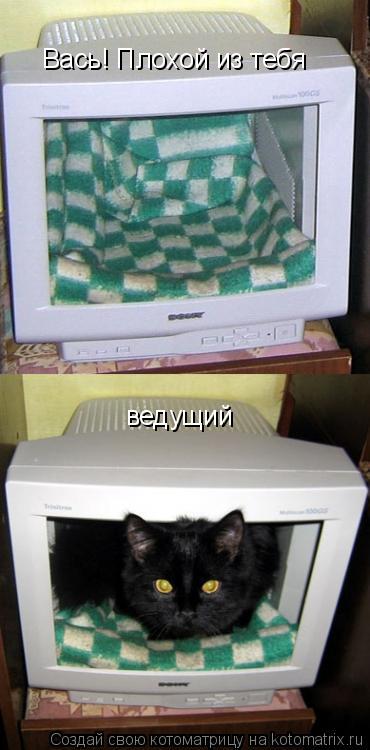 Котоматрица: Вась! Плохой из тебя  ведущий