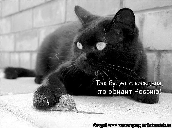 Котоматрица: Так будет с каждым,  кто обидит Россию!