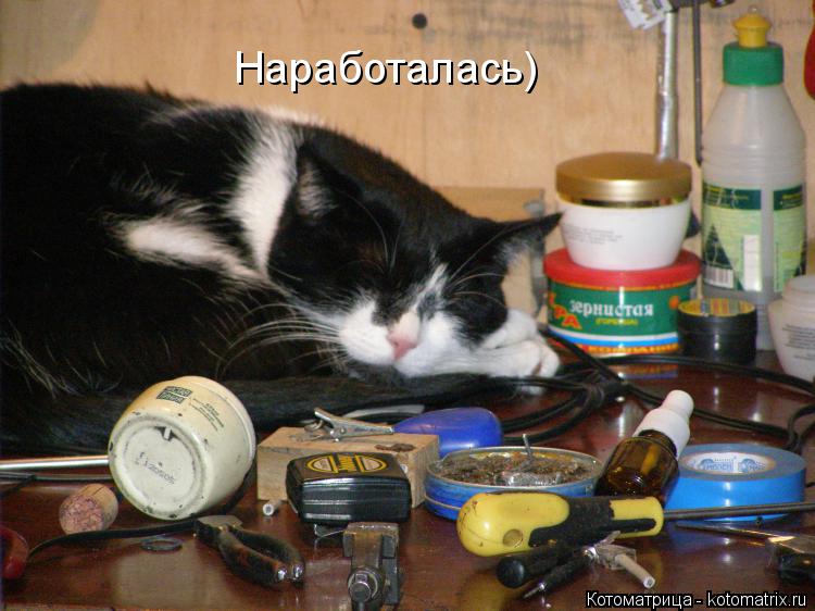Котоматрица: Наработалась)