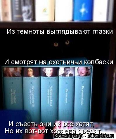 Из темноты выглядывают глазки И смотрят на охотничьи колбаски И съесть они их все хотят, Но их вот-в... Котоматрица: Из темноты выглядывают глазки И смотрят на охотничьи колбаски И съесть они их все хотят, Но их вот-вот хозяева съедят...