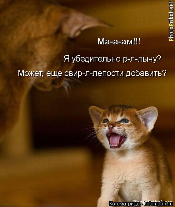Котоматрица: Ма-а-ам!!! Я убедительно р-л-лычу? Может, еще свир-л-лепости добавить?