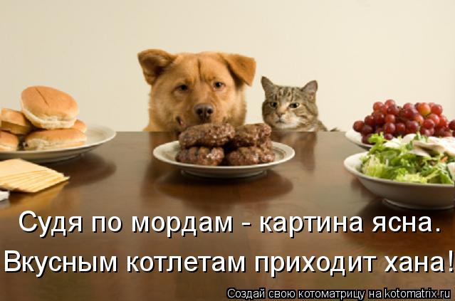 Котоматрица: Судя по мордам - картина ясна. Вкусным котлетам приходит хана!