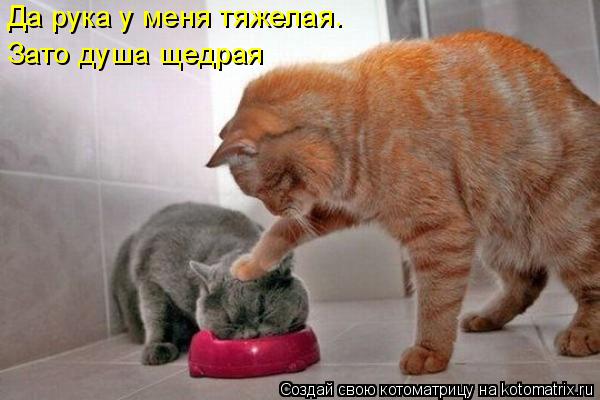 Котоматрица: Да рука у меня тяжелая. Зато душа щедрая