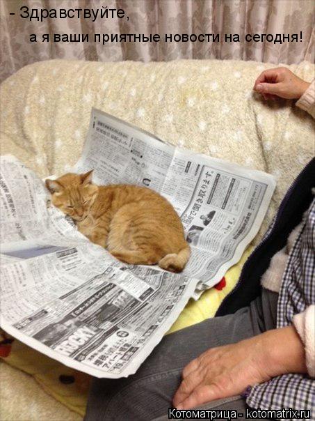 Котоматрица: - Здравствуйте,  а я ваши приятные новости на сегодня!