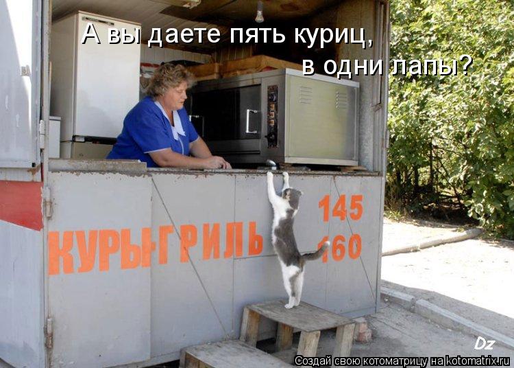Котоматрица: А вы даете пять куриц, в одни лапы?