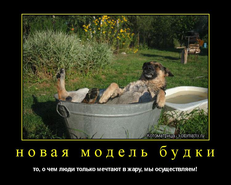 Котоматрица: новая модель будки то, о чем люди только мечтают в жару, мы осуществляем!