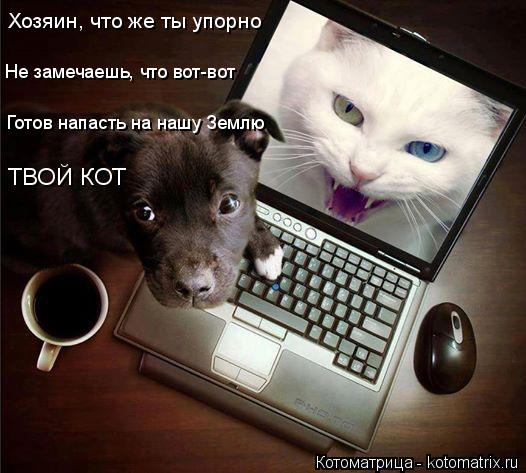 Котоматрица: Хозяин, что же ты упорно Готов напасть на нашу Землю Не замечаешь, что вот-вот ТВОЙ КОТ