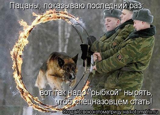 Котоматрица: Пацаны, показываю последний раз: вот так надо "рыбкой" нырять,  чтоб спецназовцем стать!