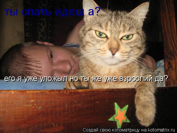 Котоматрица: ты спать идеш а? его я уже уложыл но ты же уже взрослий да?