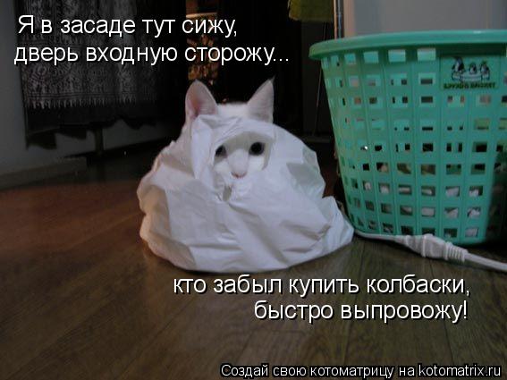 Котоматрица: Я в засаде тут сижу,  дверь входную сторожу... кто забыл купить колбаски,  быстро выпровожу!