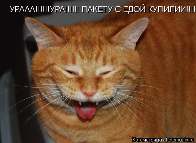 Котоматрица: УРААА!!!!!!УРА!!!!!! ПАКЕТУ С ЕДОЙ КУПИЛИИ!!!!!