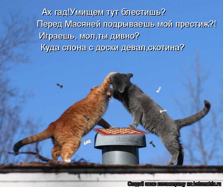 Котоматрица: Ах гад!Умищем тут блестишь? Перед Масяней подрываешь мой престиж?! Играешь, мол,ты дивно? Куда слона с доски девал,скотина?