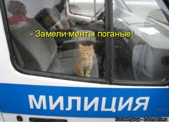 Котоматрица: - Замели менты поганые!