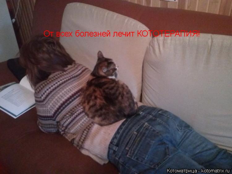 Котоматрица: От всех болезней лечит КОТОТЕРАПИЯ!