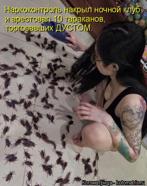 Котоматрица: Наркоконтроль накрыл ночной клуб и арестовал 10 тараканов, торговавших ДУСТОМ.