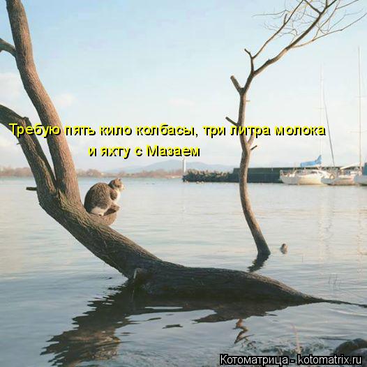 Котоматрица: Требую пять кило колбасы, три литра молока и яхту с Мазаем