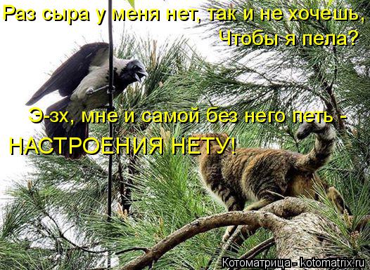 Котоматрица: Раз сыра у меня нет, так и не хочешь, Чтобы я пела? Э-зх, мне и самой без него петь - НАСТРОЕНИЯ НЕТУ!