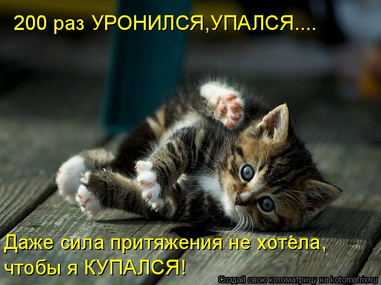 Котоматрица: 200 раз УРОНИЛСЯ,УПАЛСЯ.... Даже сила притяжения не хотела,  чтобы я КУПАЛСЯ!