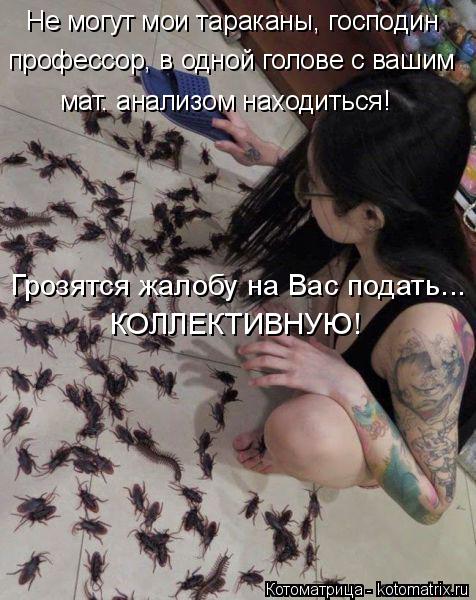 Котоматрица: Грозятся жалобу на Вас подать... КОЛЛЕКТИВНУЮ! Не могут мои тараканы, господин профессор, в одной голове с вашим мат. анализом находиться!