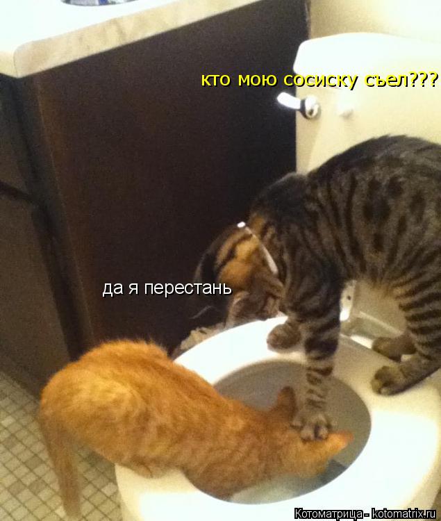 Котоматрица: кто мою сосиску съел??? да я перестань