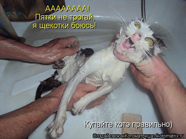 Котоматрица: Купайте котэ правильно)