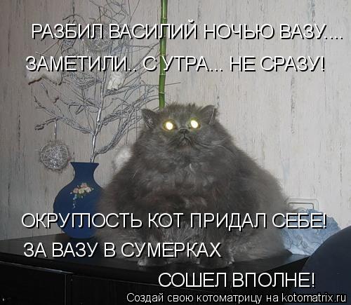 Котоматрица: РАЗБИЛ ВАСИЛИЙ НОЧЬЮ ВАЗУ.... ЗАМЕТИЛИ.. С УТРА... НЕ СРАЗУ! ОКРУГЛОСТЬ КОТ ПРИДАЛ СЕБЕ! ЗА ВАЗУ В СУМЕРКАХ СОШЕЛ ВПОЛНЕ!