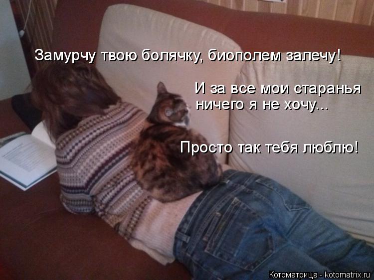 Котоматрица: Замурчу твою болячку, биополем залечу! И за все мои старанья ничего я не хочу... Просто так тебя люблю!