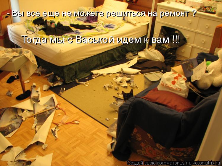 Котоматрица: - Вы все еще не можете решиться на ремонт ? Тогда мы с Васькой идем к вам !!!