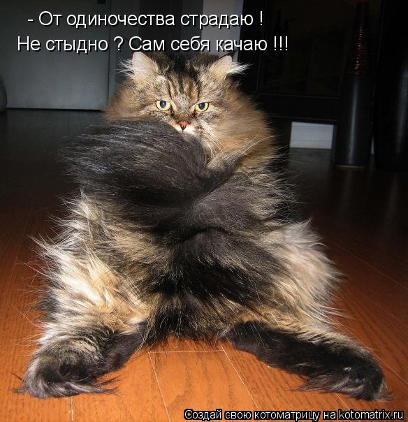 Котоматрица: - От одиночества страдаю ! Не стыдно ? Сам себя качаю !!!