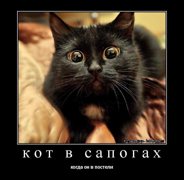 Котоматрица: кот в сапогах когда он в постели
