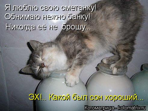 Котоматрица: Я люблю свою сметанку! Обнимаю нежно банку! Никогда её не  брошу... ЭХ!.. Какой был сон хороший...