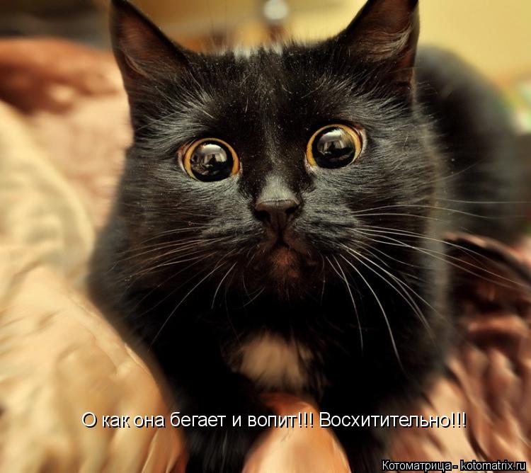 Котоматрица: О как она бегает и вопит!!! Восхитительно!!!