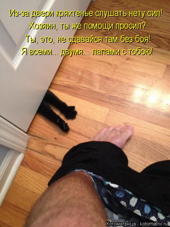 Котоматрица: Из-за двери кряхтенье слушать нету сил! Хозяин, ты же помощи просил? Ты, это, не сдавайся там без боя! Я всеми... двумя... лапами с тобою!