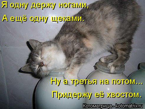 Котоматрица: Я одну держу ногами, А ещё одну щеками. Ну а третья на потом... Придержу её хвостом.