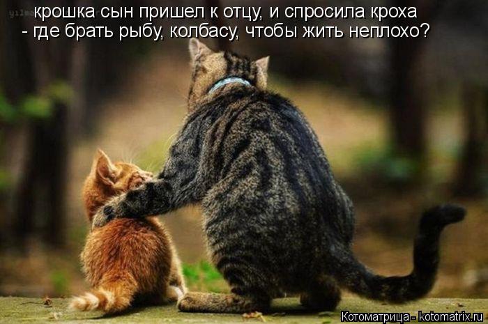 Котоматрица: крошка сын пришел к отцу, и спросила кроха - где брать рыбу, колбасу, чтобы жить неплохо?