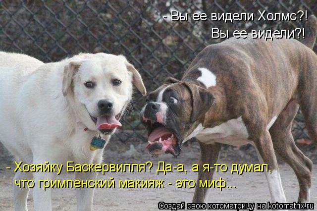 Котоматрица: - Вы ее видели Холмс?!  Вы ее видели?! - Хозяйку Баскервилля? Да-а, а я-то думал, что гримпенский макияж - это миф...