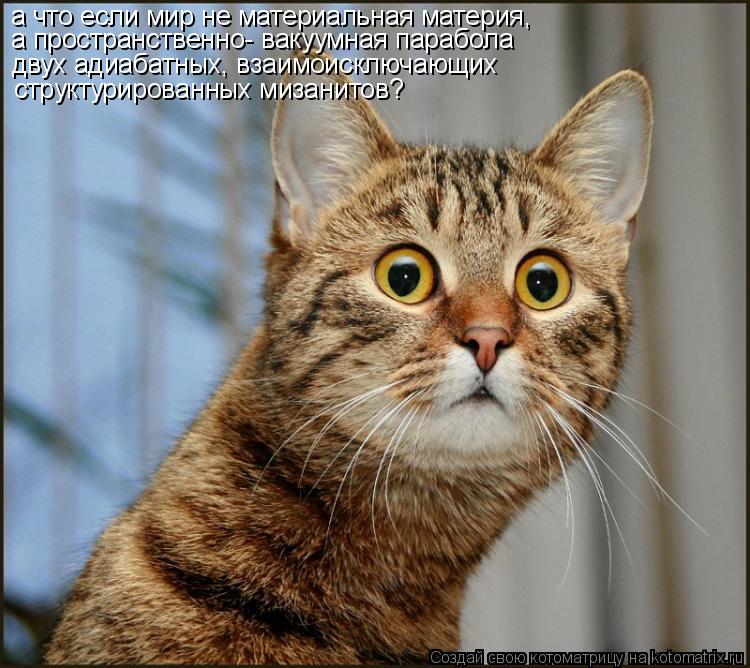 Котоматрица: а что если мир не материальная материя, а пространственно- вакуумная парабола двух адиабатных, взаимоисключающих структурированных мизан
