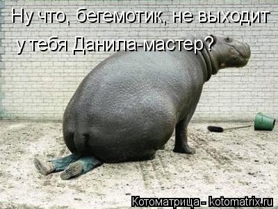 Котоматрица: Ну что, бегемотик, не выходит  у тебя Данила-мастер?