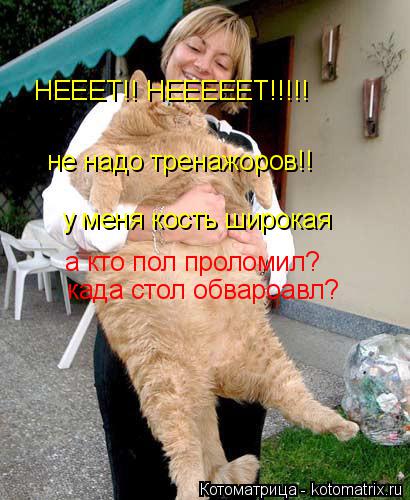 Котоматрица: НЕЕЕТ!! НЕЕЕЕЕТ!!!!! не надо тренажоров!! у меня кость широкая а кто пол проломил? када стол обвароавл?
