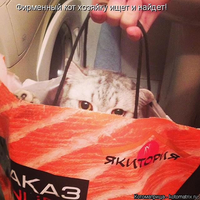 Котоматрица: Фирменный кот хозяйку ищет и найдет!
