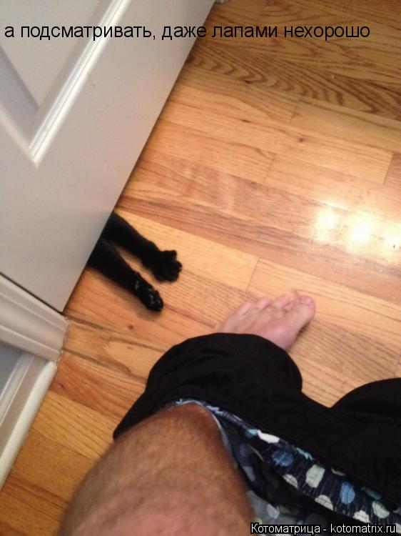 Котоматрица: а подсматривать, даже лапами нехорошо