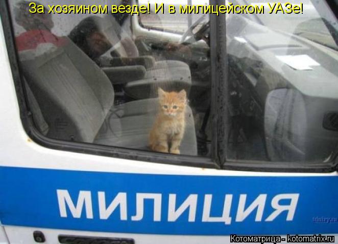 Котоматрица: За хозяином везде! И в милицейском УАЗе!