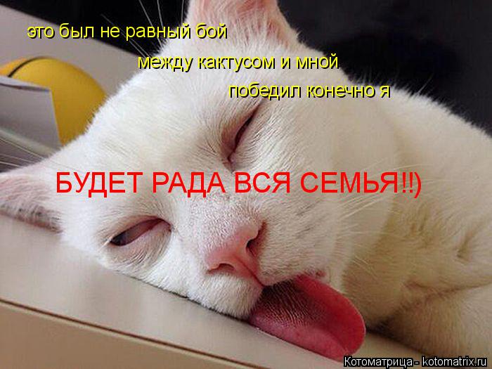 Котоматрица: это был не равный бой  между кактусом и мной победил конечно я БУДЕТ РАДА ВСЯ СЕМЬЯ!!)